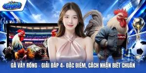 Gà Vảy Rồng - Giải Đáp 4+ Đặc Điểm, Cách Nhận Biết Chuẩn